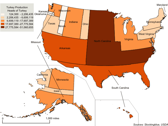 Cartogram map of turkey production in the United States
