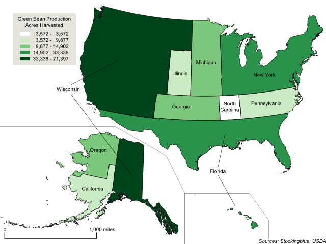 Cartogram map of green bean production in the United States