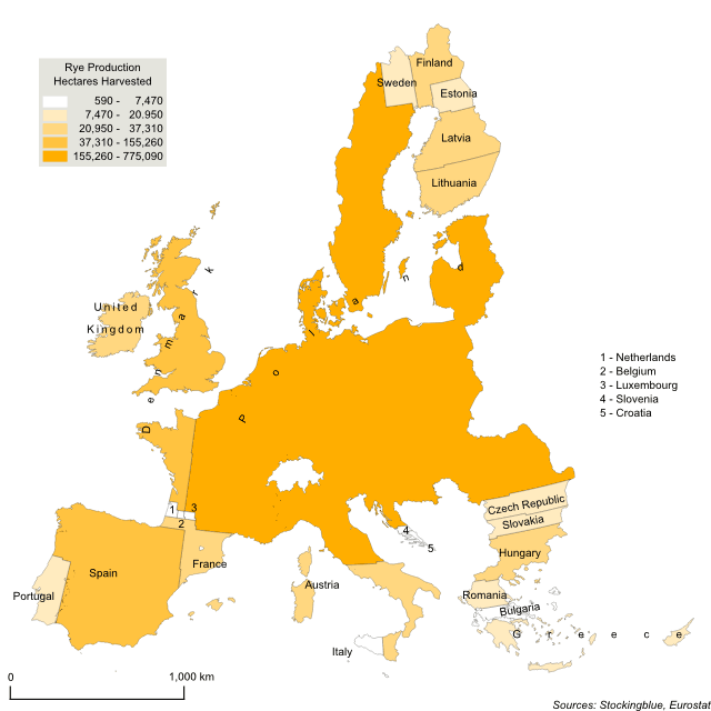 Cartogram map of rye production in the European Union